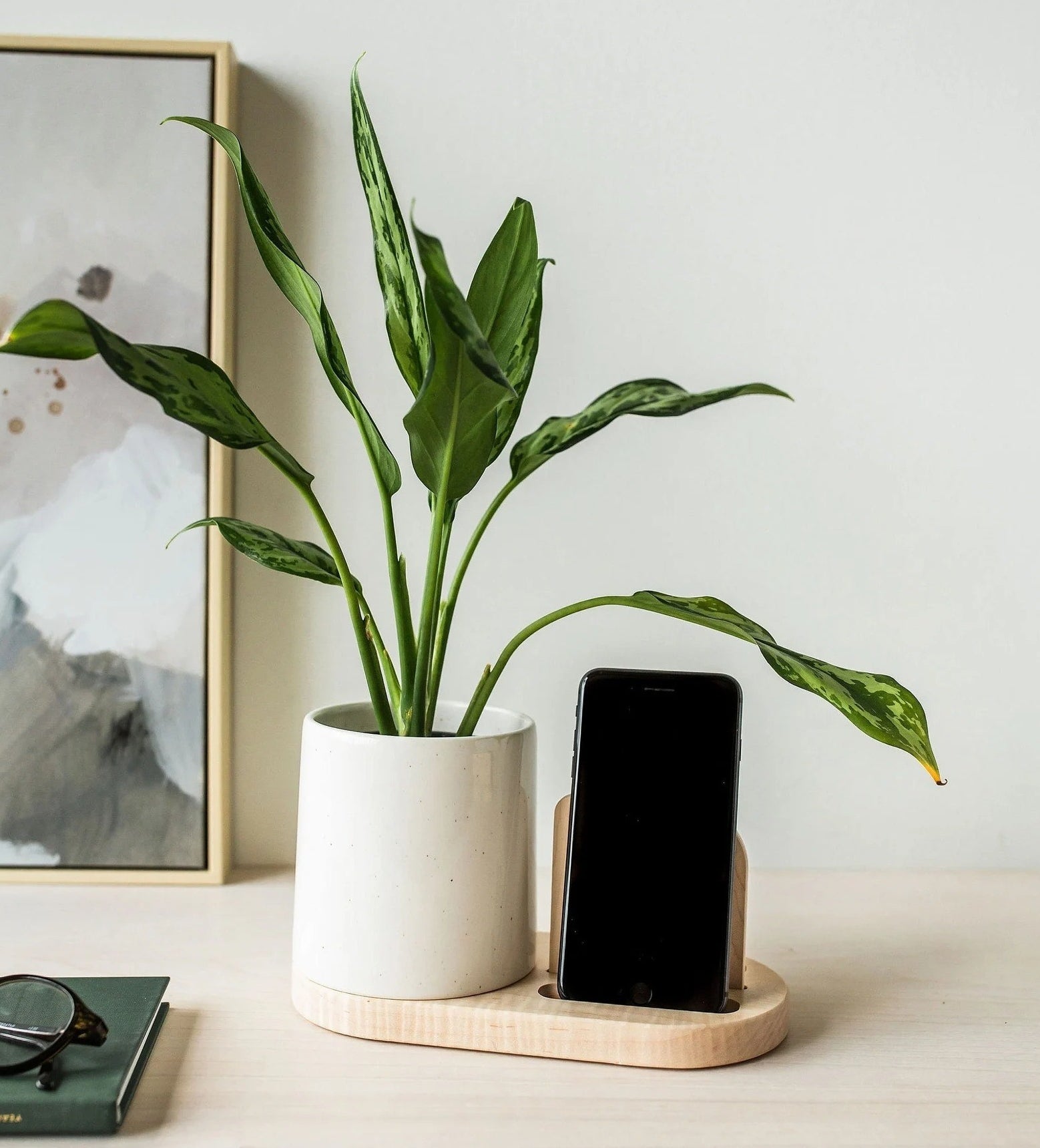 A planter and phone holder are shown