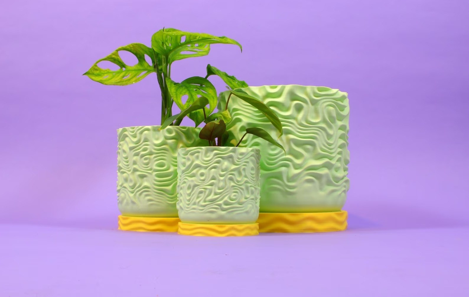 Unique sales plant pots