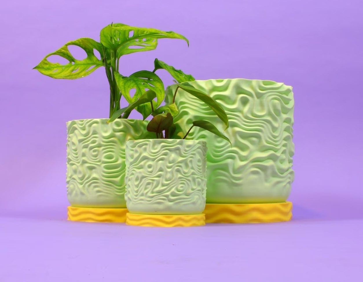 Three light green planters with groovy designs are shown