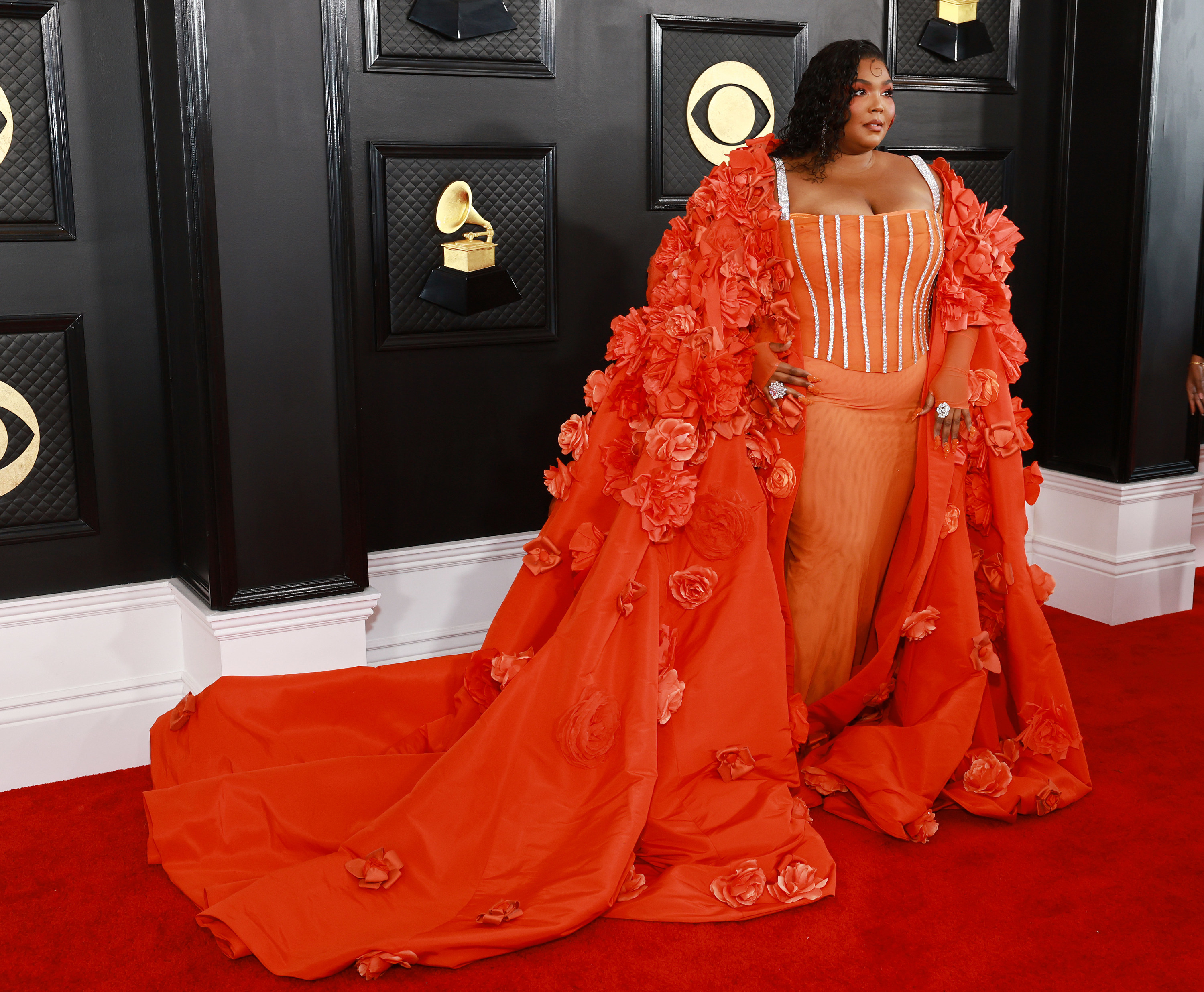lizzo on red carpet