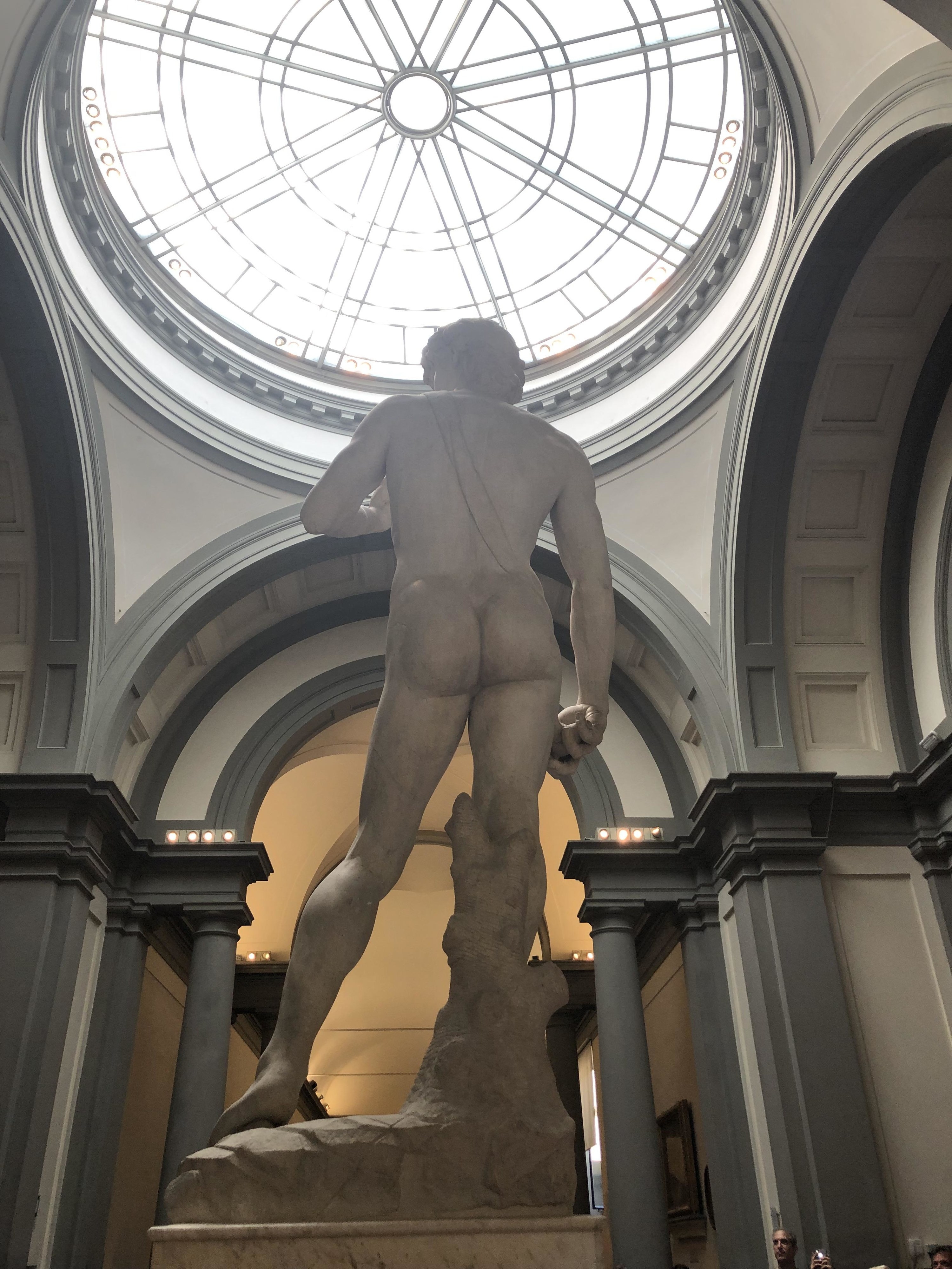 The rear view of David, with bare back and buttocks