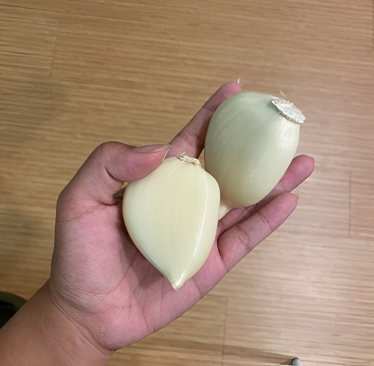Two giant cloves of garlic each about the size of a palm of a hand