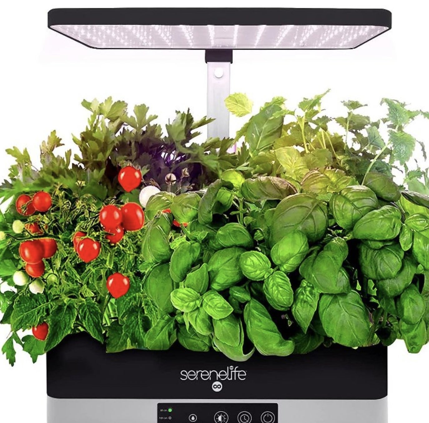 An indoor garden system