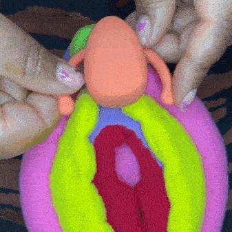 Demonstration of vibrator on plush vulva model