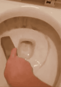 gif of reviewer using Pumie on stained toilet bowl