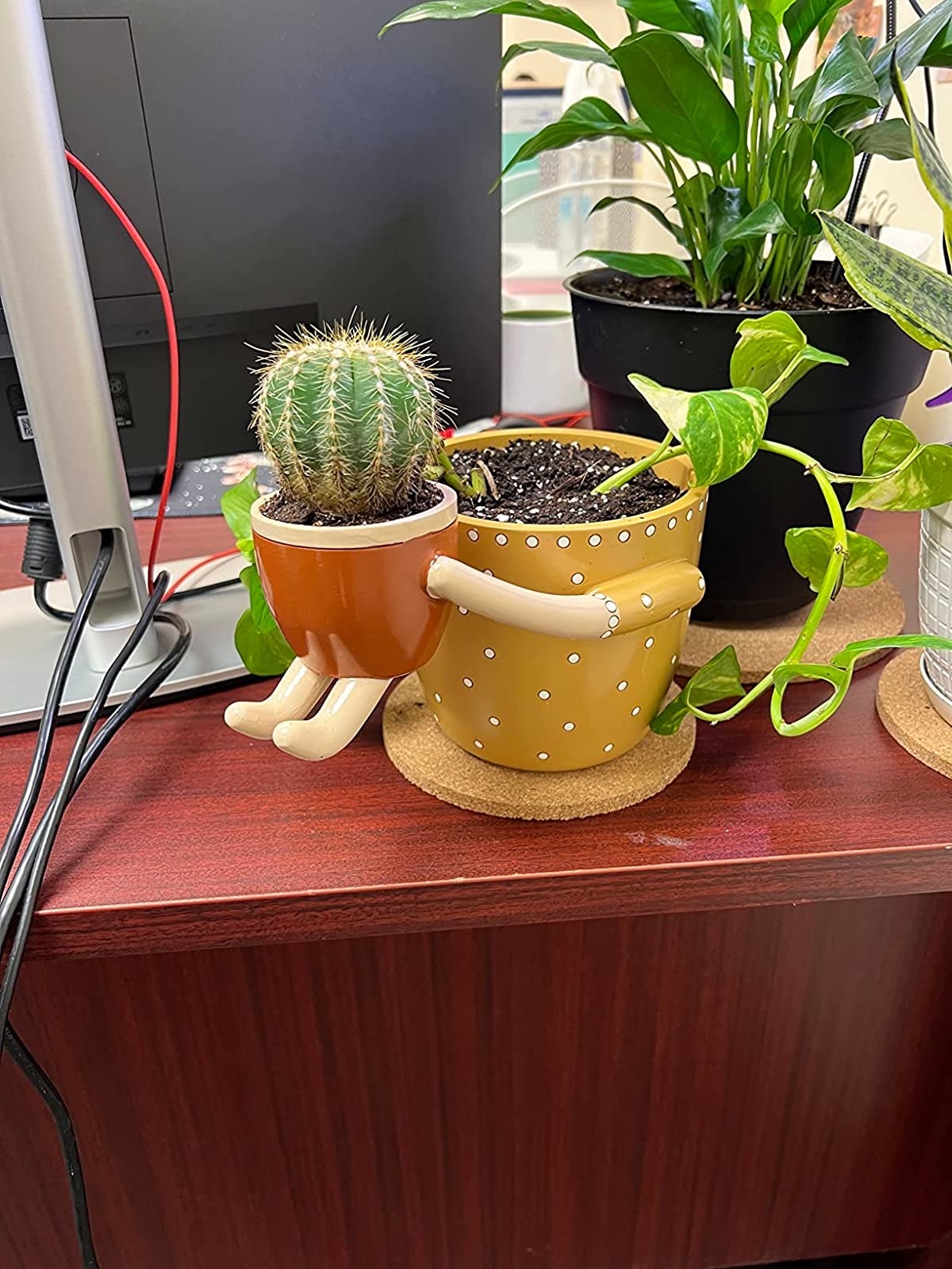 Unique cheap plant pots