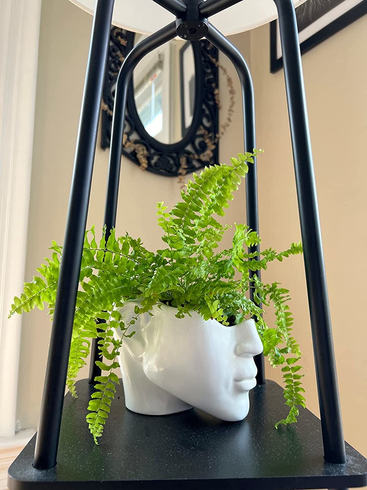 Reviewer&#x27;s half face planter is shown on a shelf