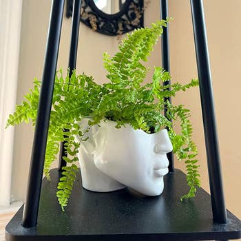 Reviewer's half face planter is shown on a shelf