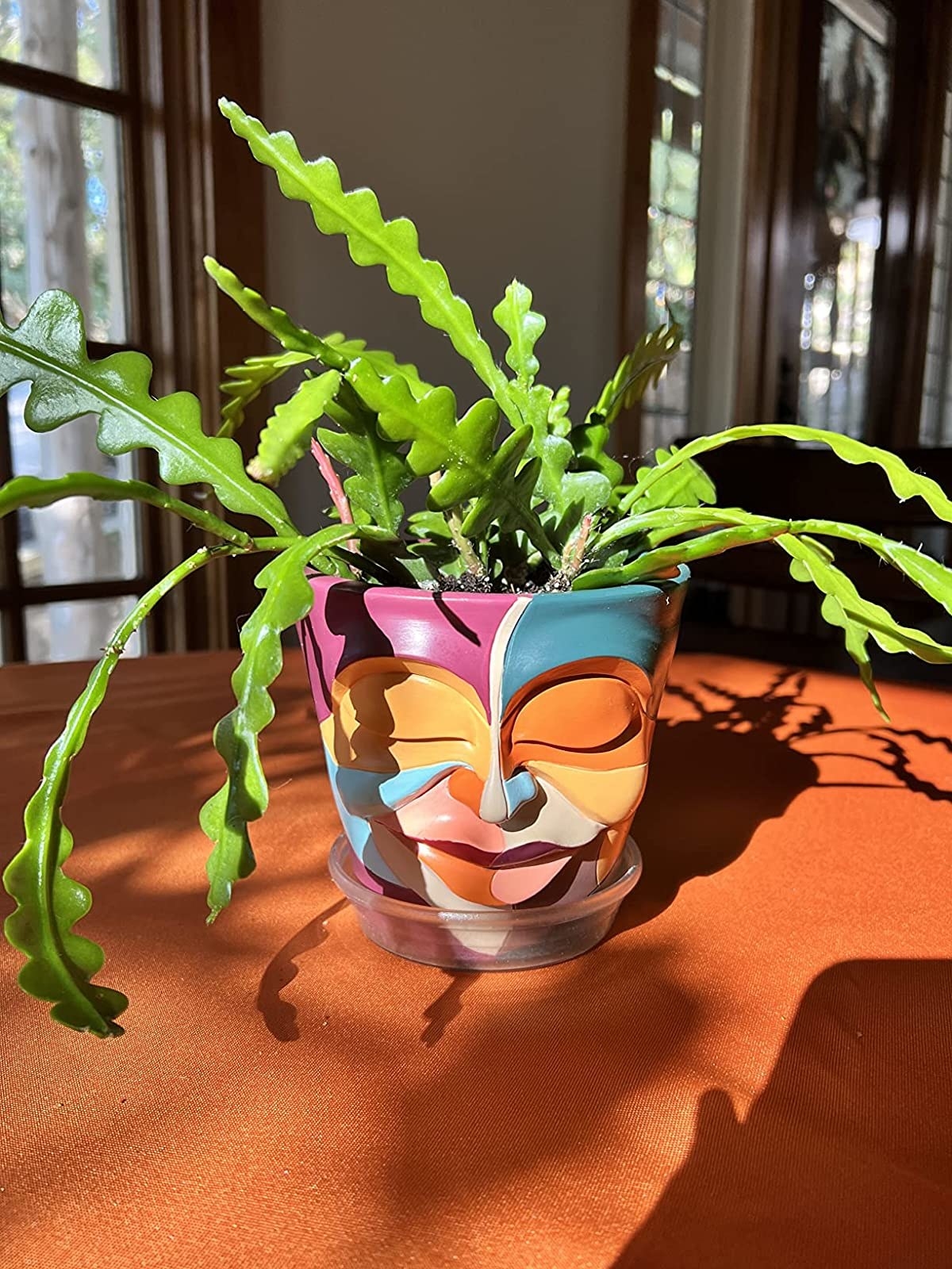 Reviewer&#x27;s face planter is shown