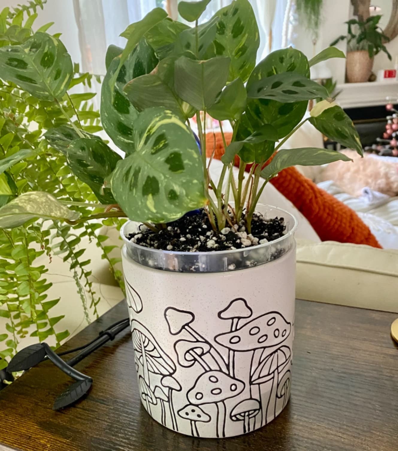 Reviewer&#x27;s mushroom etched planter is shown