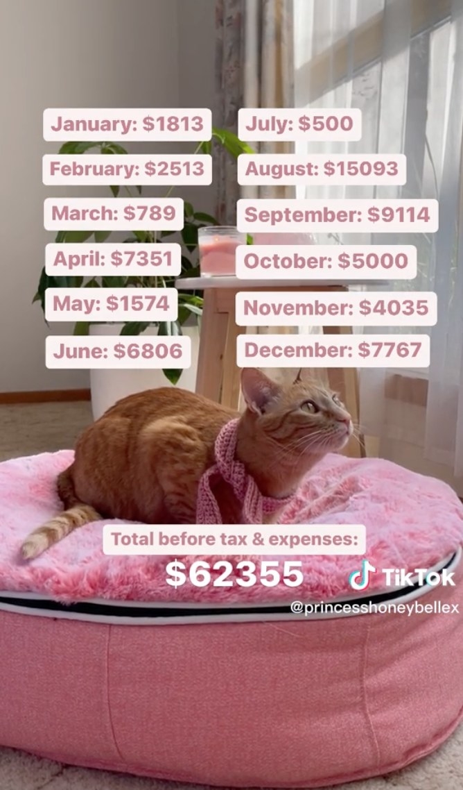 Cat influencer Nicole Wade made $43,137 USD before taxes from brand partnerships