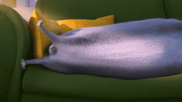 Gray cat stretching and falling off the couch in &quot;The Secret Life of Pets&quot;