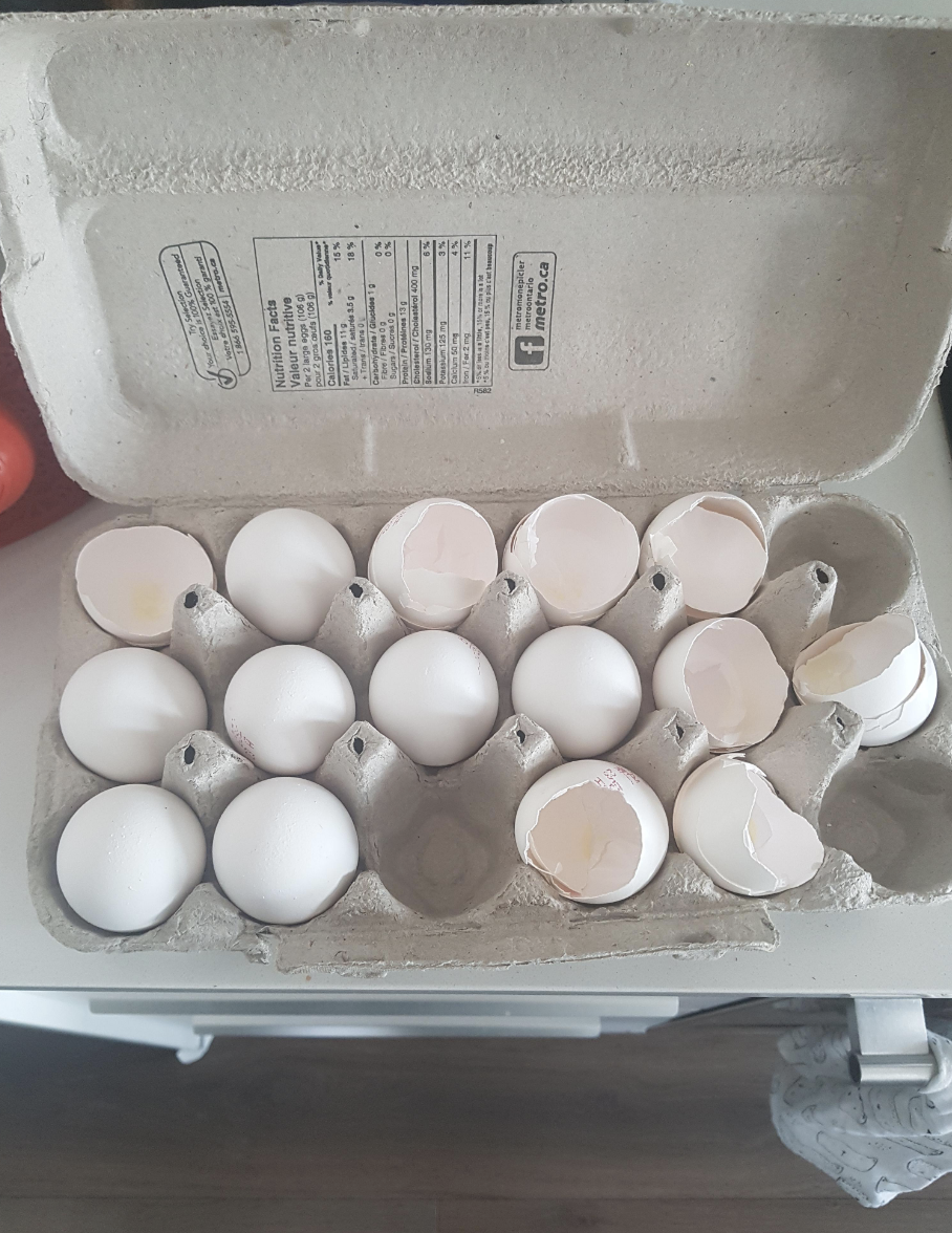 Egg shells in a carton of eggs