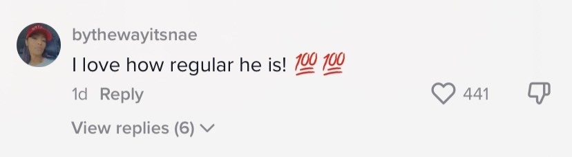 A TikTok comment that reads: I love how regular he is!