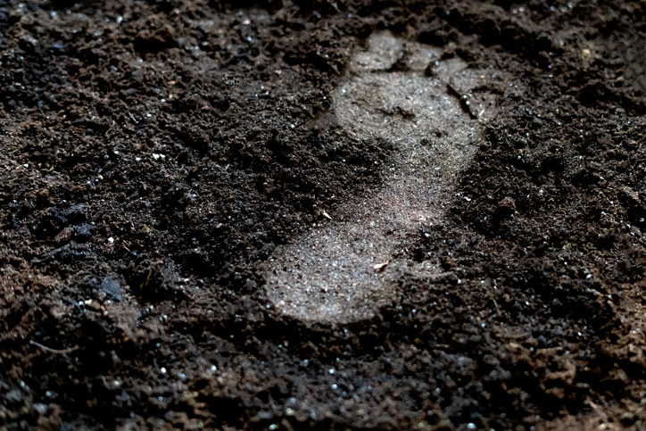 footprint in the dirt
