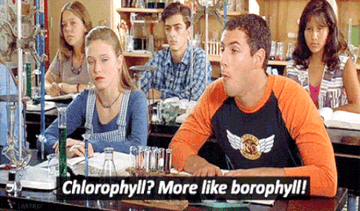 Billy Madison says &quot;Chlorophyll, more like boro-phyl&quot;