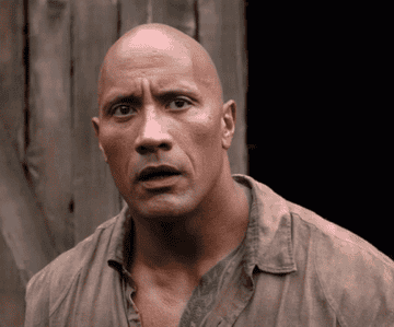 The Rock looks stunned