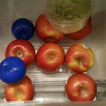 a reviewer photo of the produce saver ball in a crisper drawer with a bunch of apples