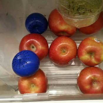 a reviewer photo of the produce saver ball in a crisper drawer with a bunch of apples