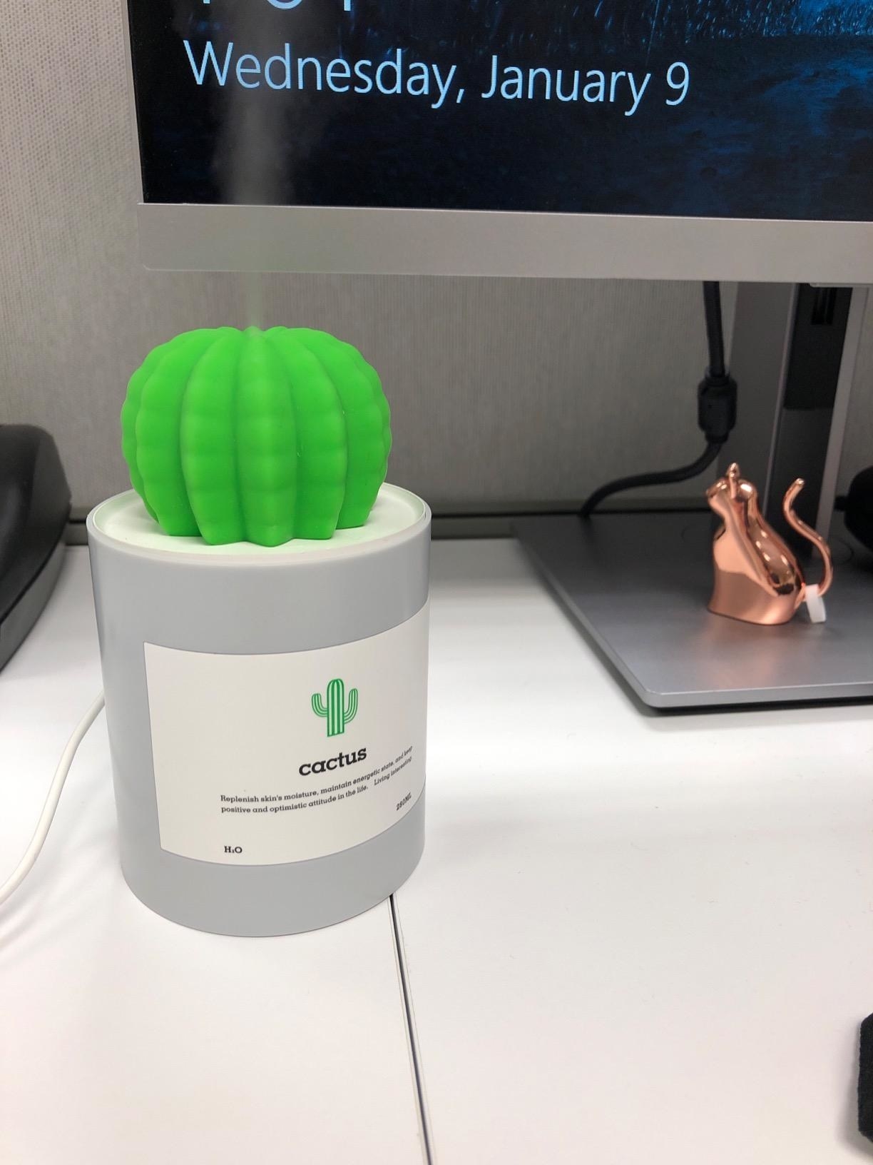 reviewer&#x27;s cactus humidifier on their desk