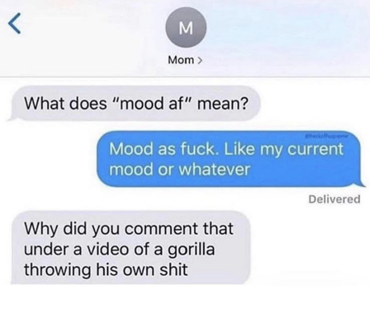 A parent asks what &quot;mood af&quot; means, the child says &quot;mood as fuck,&quot; and the parent asks &quot;why did you comment that under a video of a gorilla throwing his own shit?&quot;