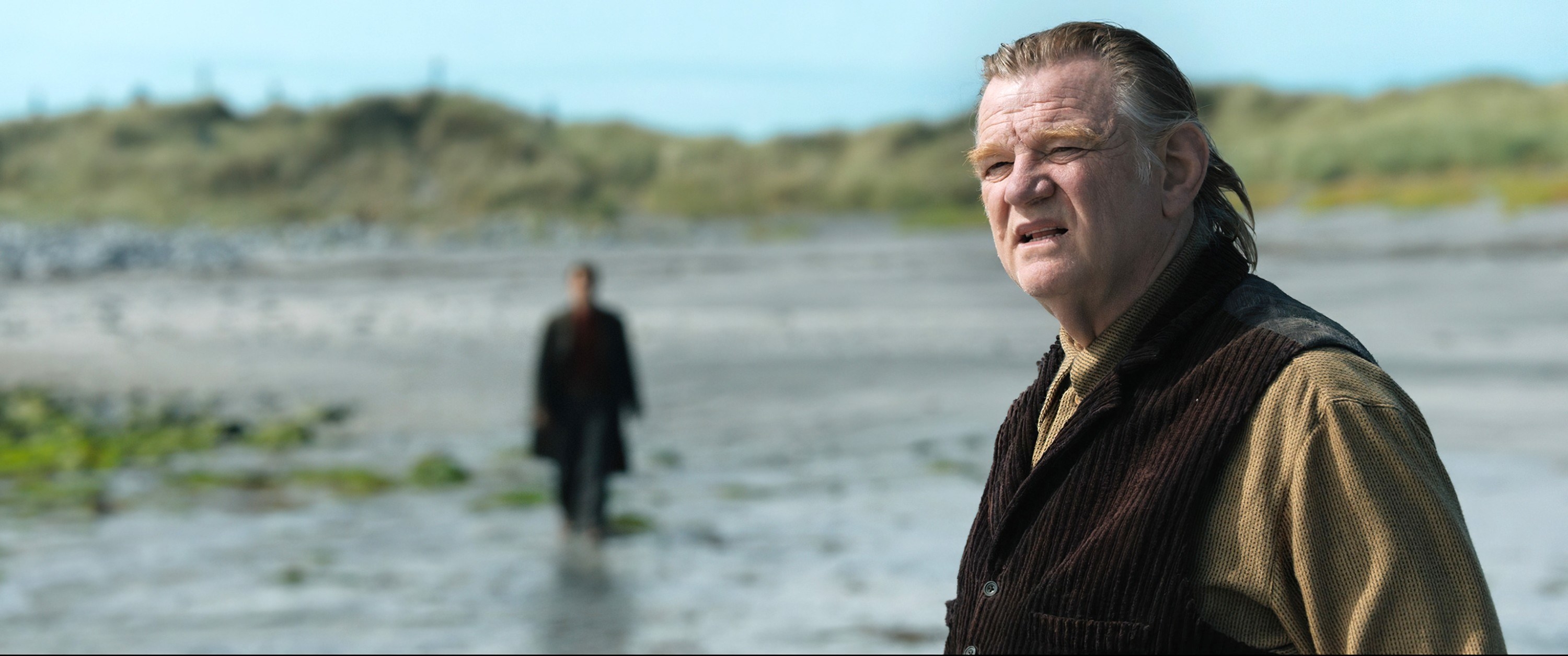 Brendan Gleeson stands on a beach