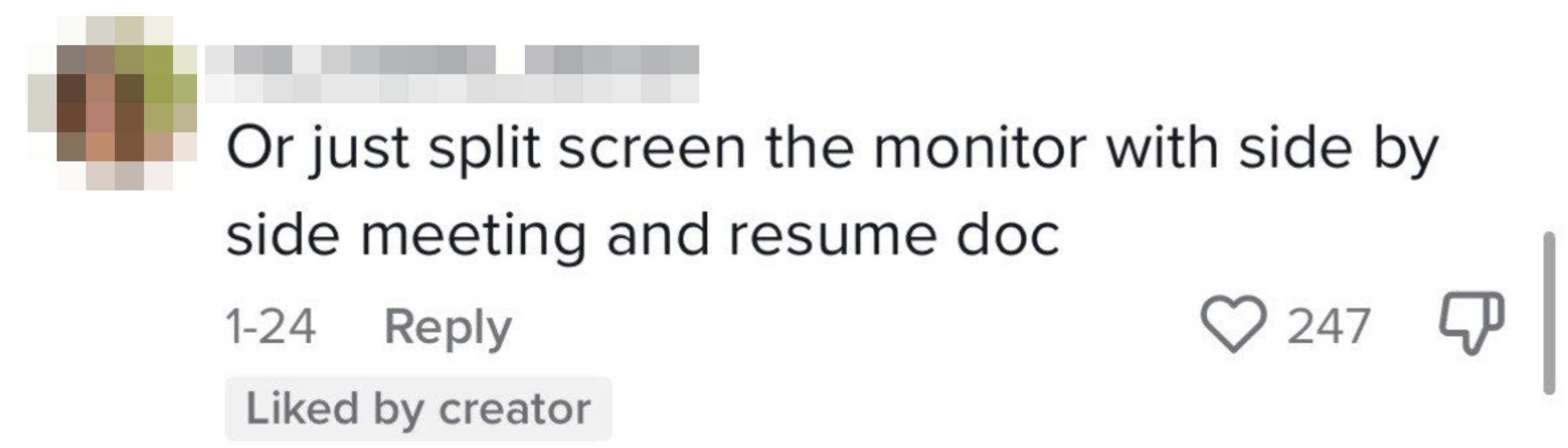 a screenshot of a tiktok comment
