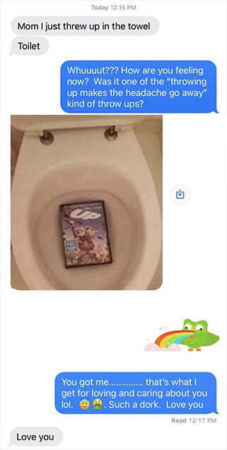 A child tells their mother they threw up in the toilet, the mother is concerned, and the child sends a picture of a DVD of the movie Up in the toilet