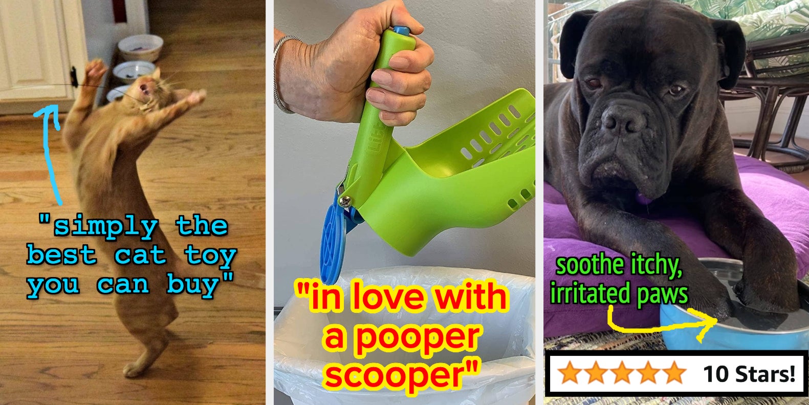 28 Underrated Pet Products To Purchase - Vimarsana News