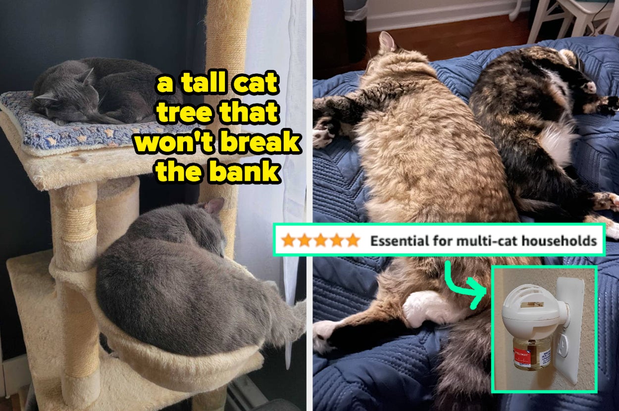 If You Have A Multi-Cat Home, These 33 Products Are Honestly Lifesavers