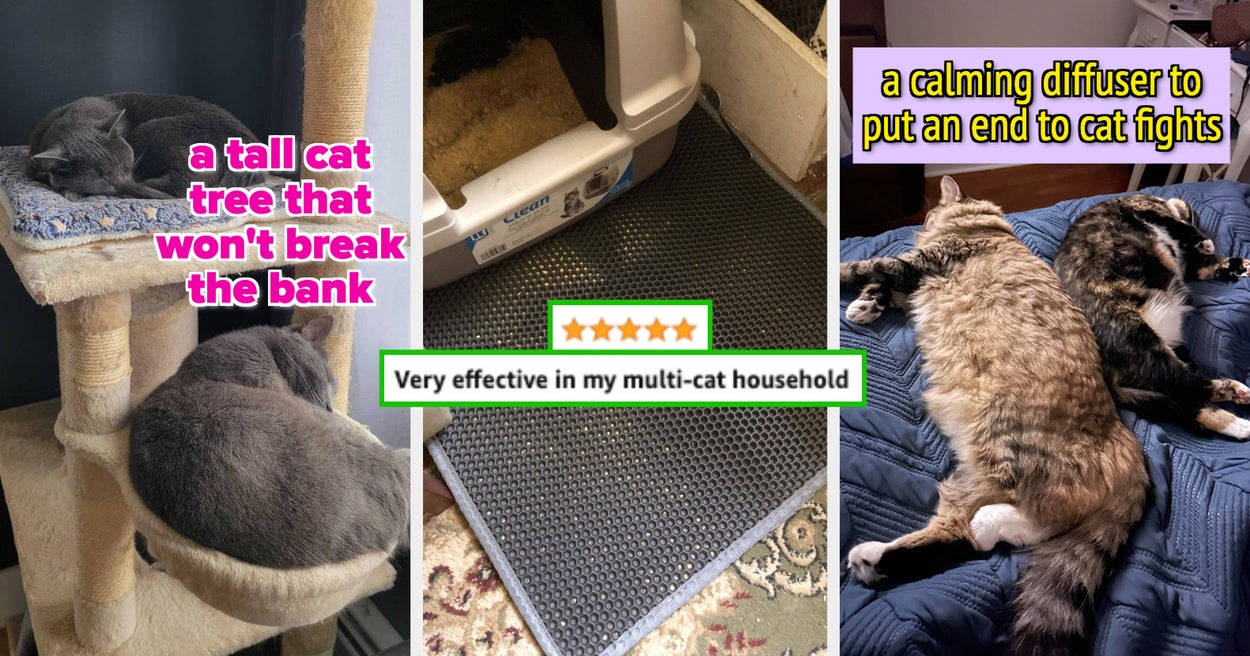34 Best Products For Multi-Cat Homes 2023