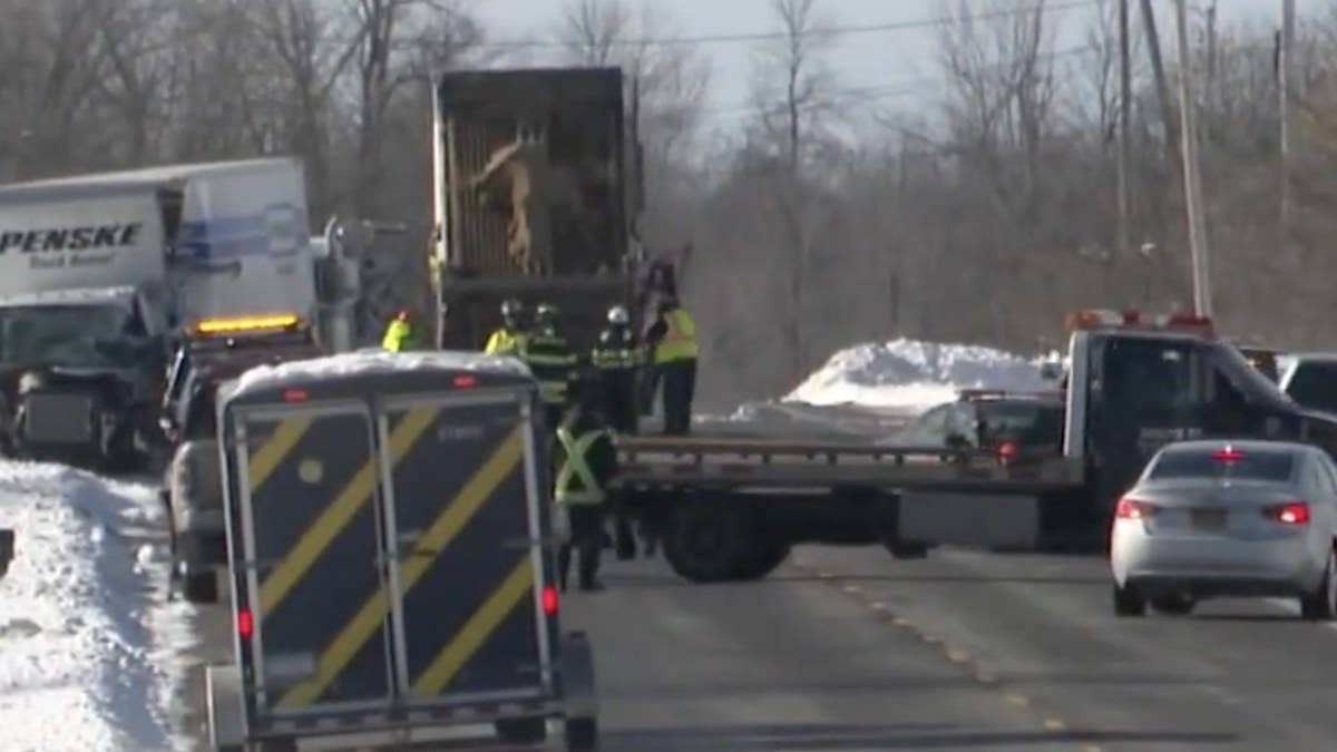 Six people died and three others were injured in a crash involving an express bus and a freight truck in upstate New York on Saturday morning. 