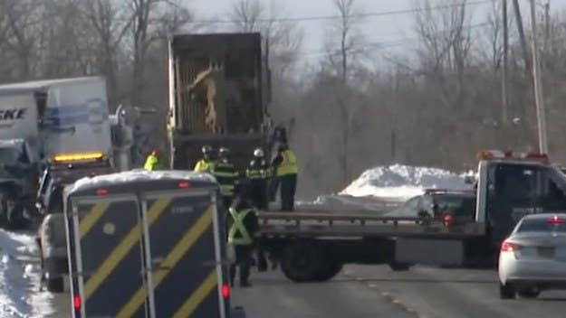 Six people died and three others were injured in a crash involving an express bus and a freight truck in upstate New York on Saturday morning.