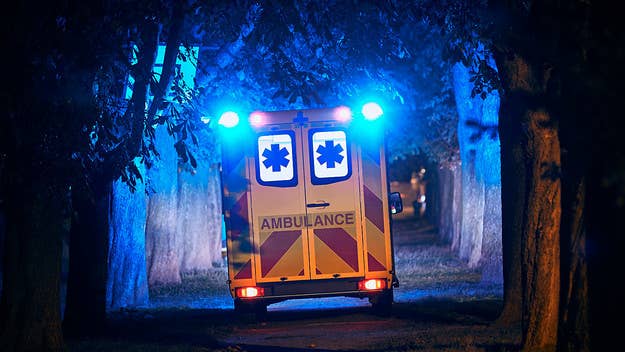 The bizarre incident, according to authorities, saw a dog stepping on a rifle, resulting in a discharge that struck the man in the back and killed him.
