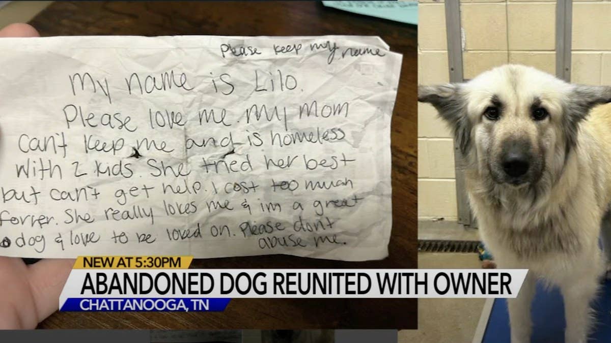 The note revealed that the woman, a mother of two children, was homeless and could no longer take care of Lilo. A local shelter has since reunited them.