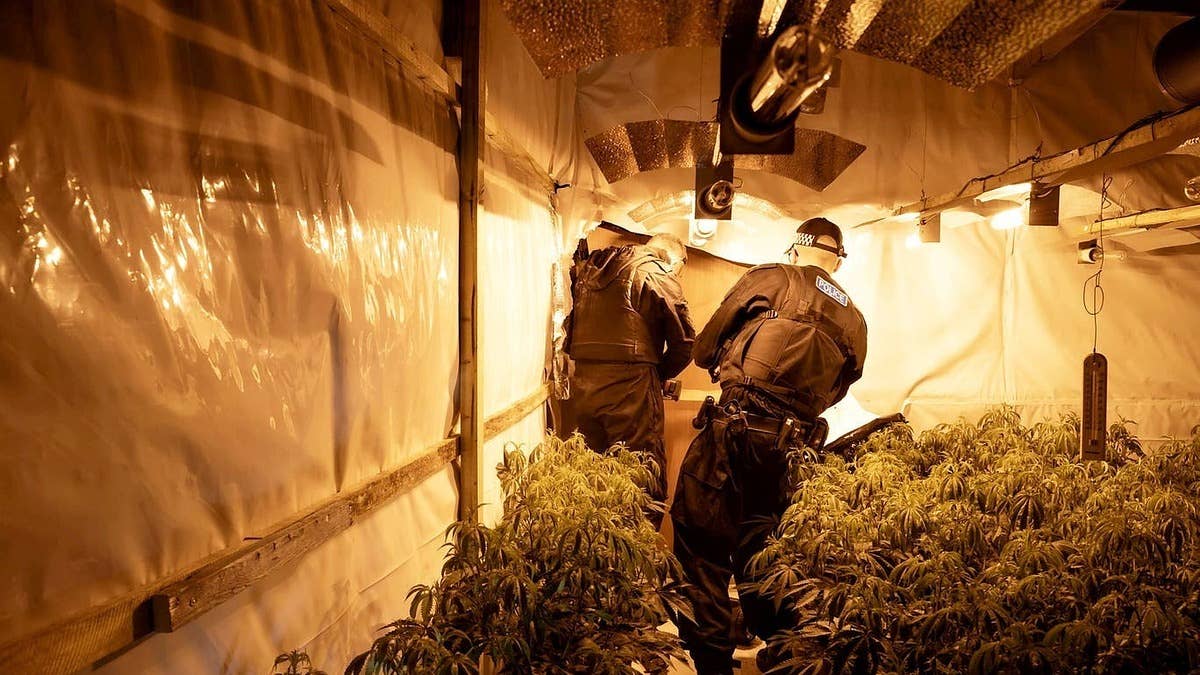 Three men have been arrested for production after police in Lincolnshire discovered one of biggest-ever marijuana farms to date, The Independent reports.