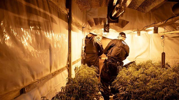 Three men have been arrested for production after police in Lincolnshire discovered one of biggest-ever marijuana farms to date, The Independent reports.
