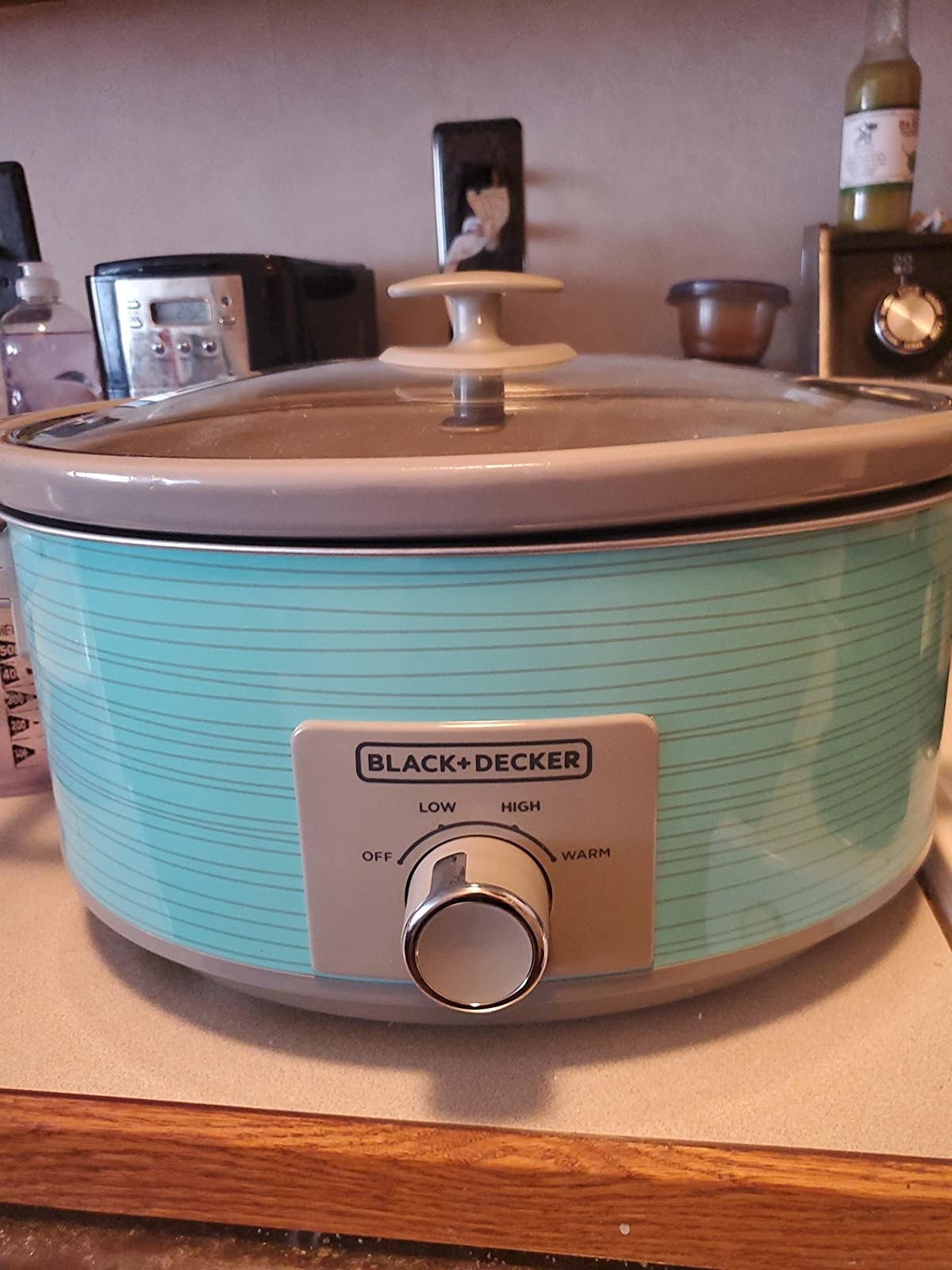 Reviewer image of the teal slow cooker