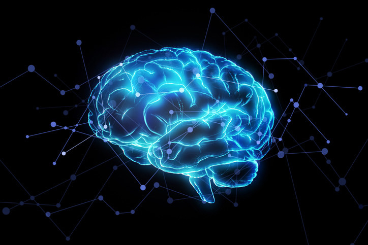 Model of a brain