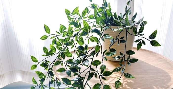 IKEA(イケア)のおすすめのインテリア「FEJKA フェイカ人工観葉植物 室内/屋外用/つり下げ型」