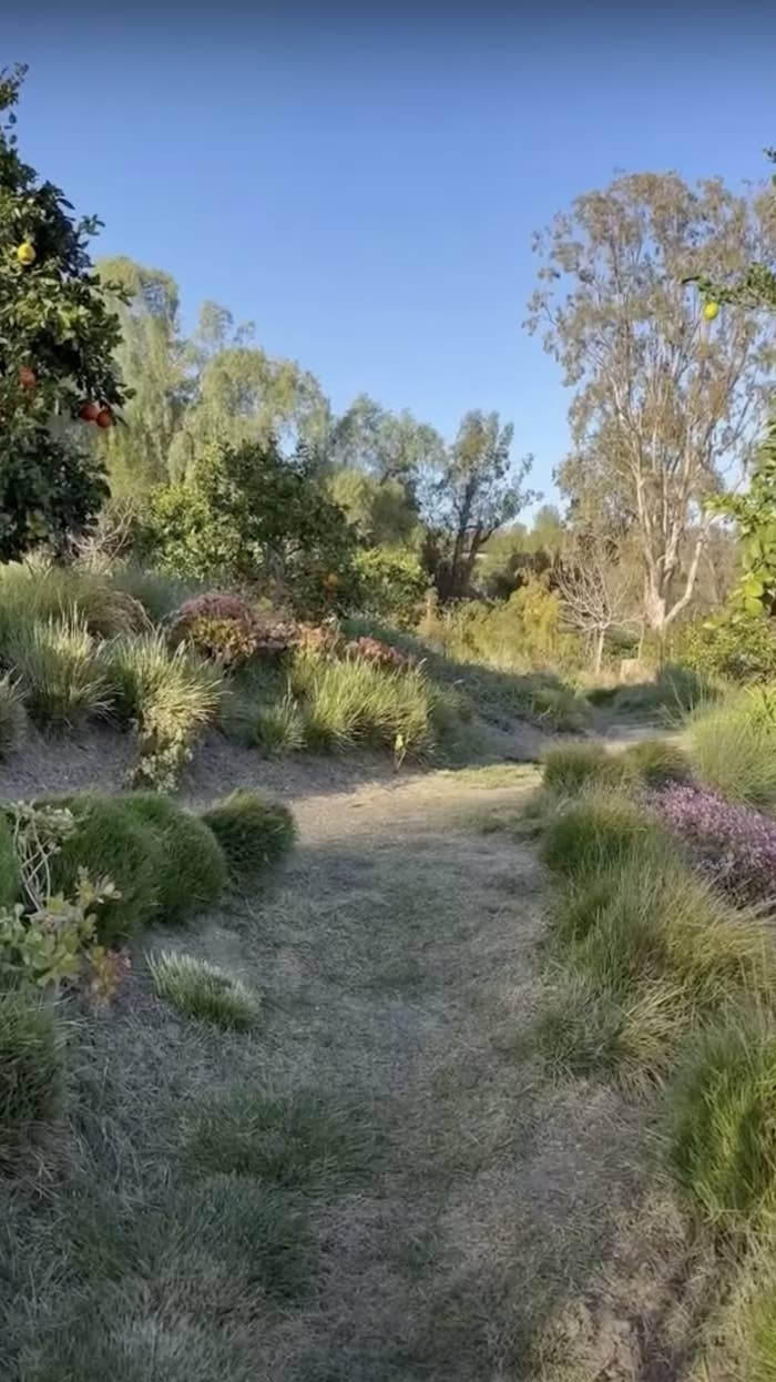 A garden path