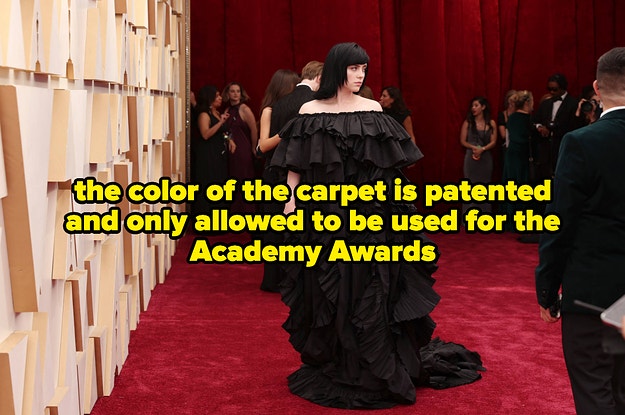 Oscars 2022 red carpet: Zendaya, Billie, Timothee make glam entries. See  pics