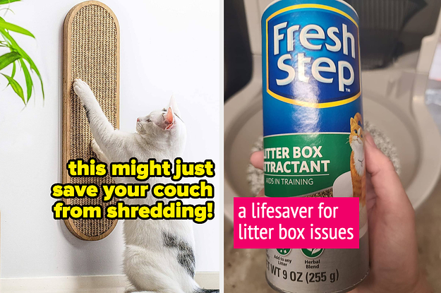 32 Things To Help With The Cat-Related Annoyances In Your Life