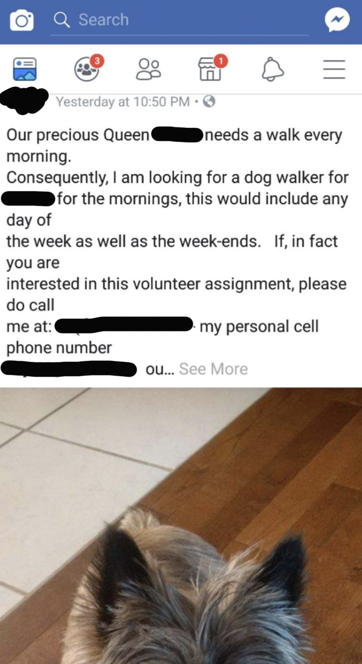 A post that asks someone to walk their dog as a &quot;volunteer assignment&quot;