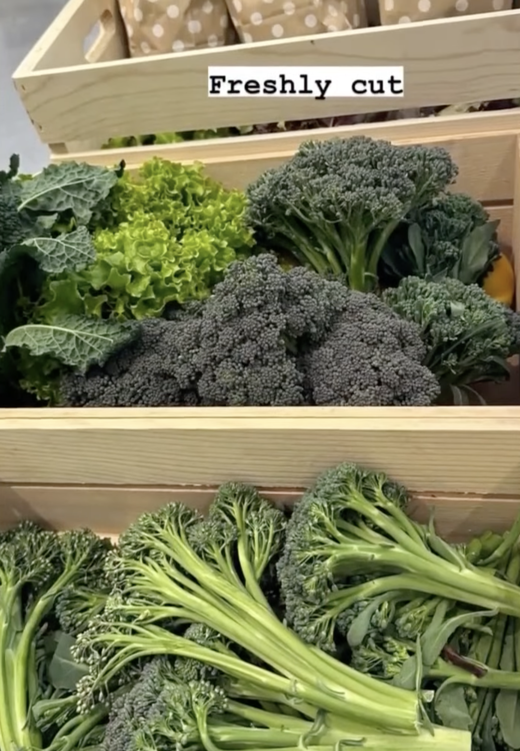 Close-up of broccoli