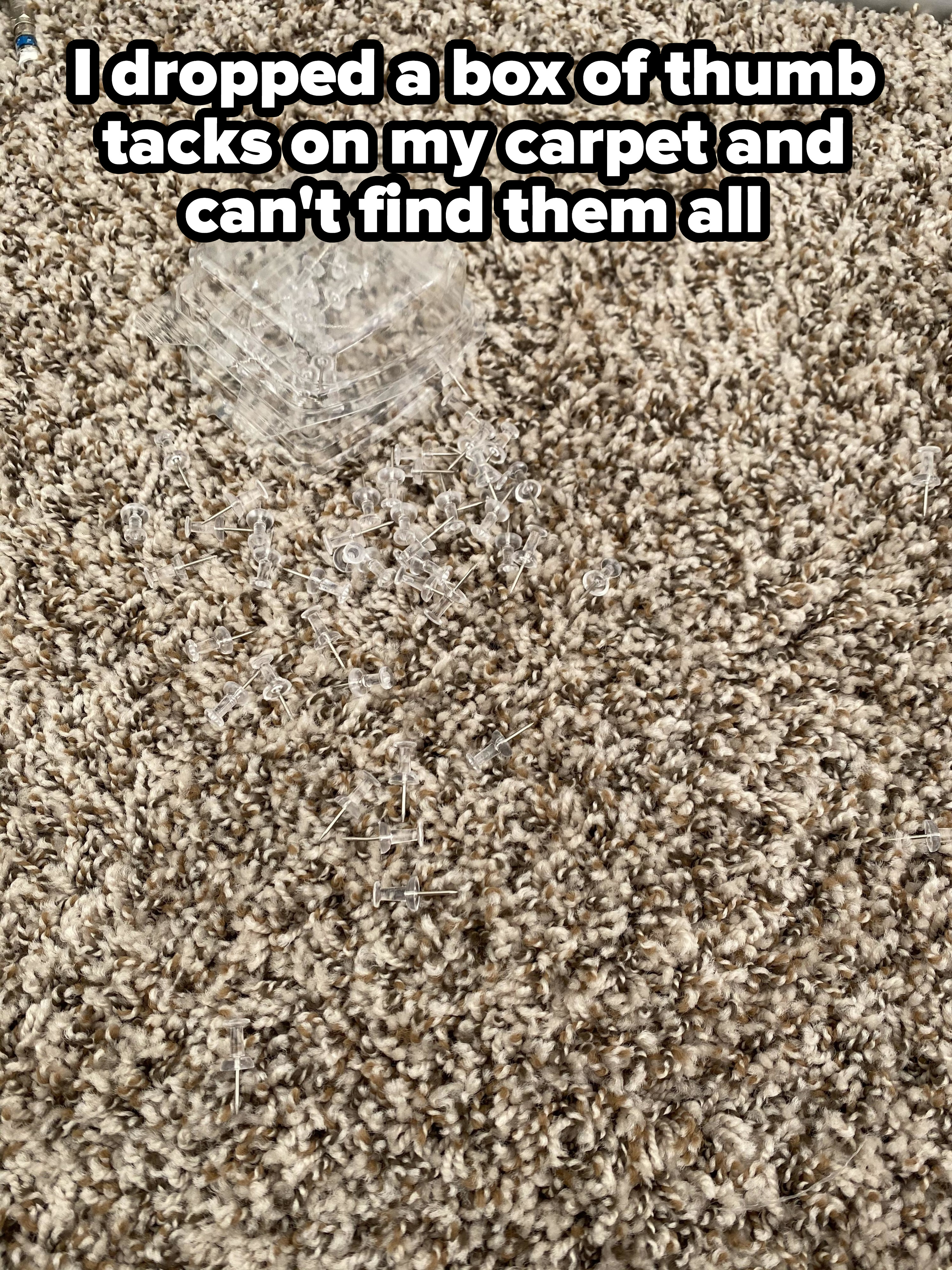 thumb tacks blending into a carpet