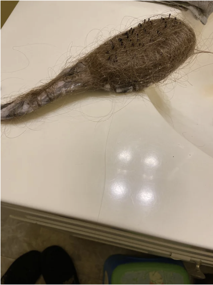 A brush covered in hair