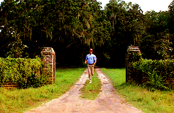 a gif of Tom Hanks as Forest Gump running down a rural road