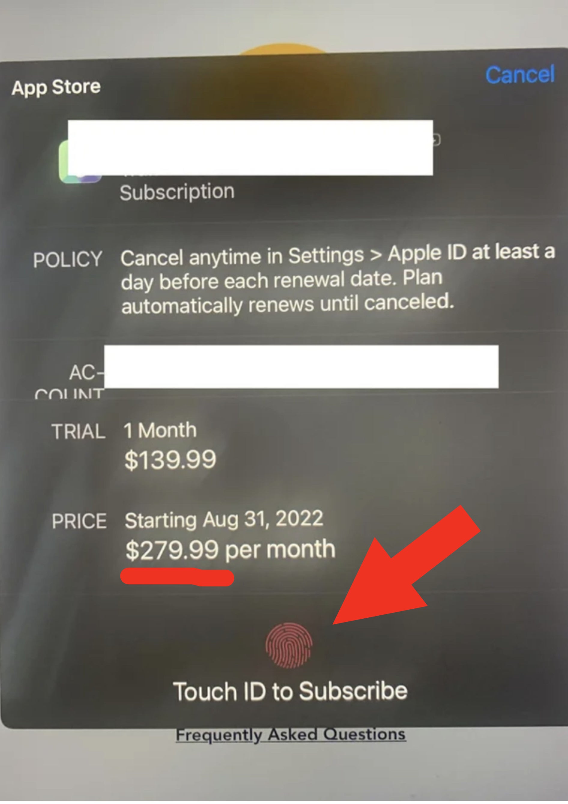 Screenshot of a bill for an app