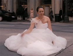 the bride from &quot;Bridesmaids&quot; pooping in the street